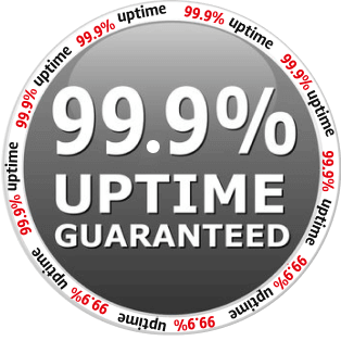 99% Uptime  Icon